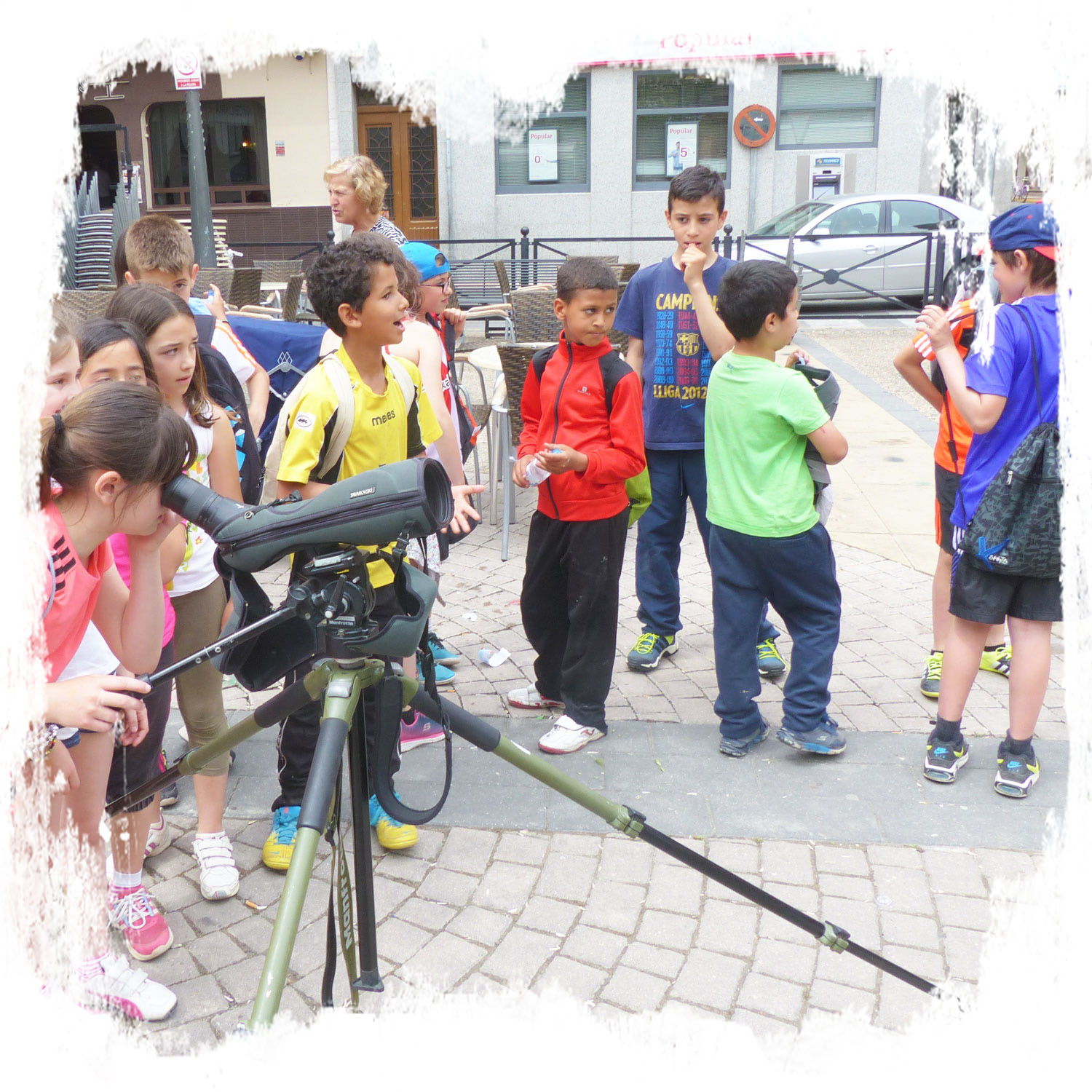 educacion-ambiental